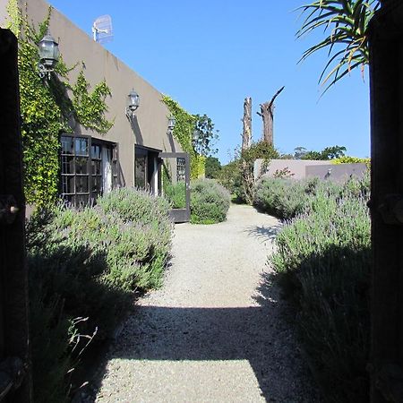 普利河小屋 普勒滕贝格湾 外观 照片